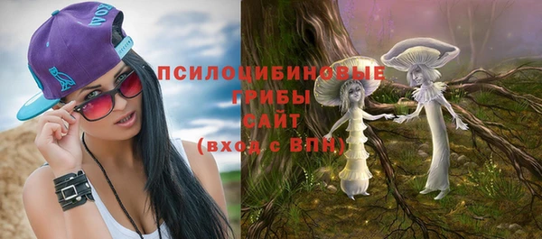 spice Абинск
