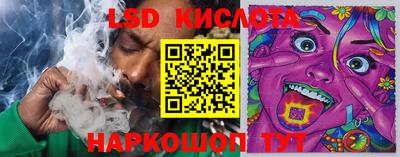 PSILOCYBIN Пугачёв