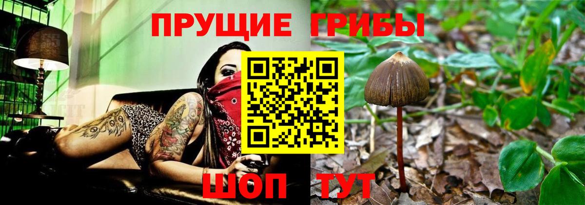 Галлюциногенные грибы прущие грибы Тында