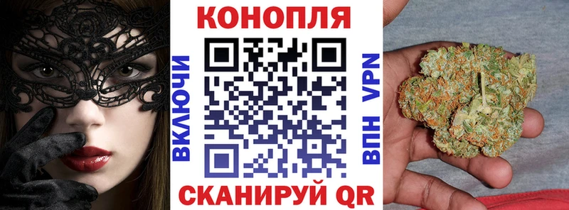 наркотики  Тында  Бошки марихуана семена 