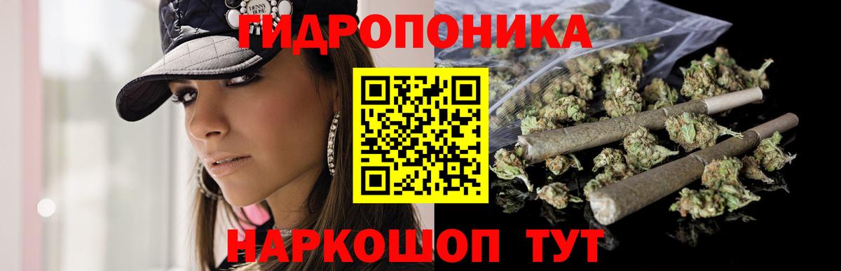 Тында  Конопля марихуана  Вход с VPN  Канабис марихуана 